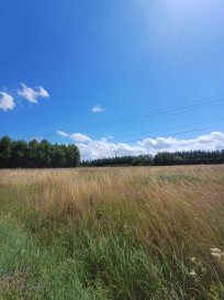 Działka Sprzedaż Wola Dębowiecka