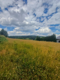 Działka Sprzedaż Siepietnica